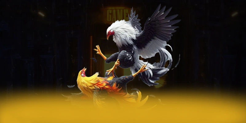 Khám phá BET88 - Trang game đẳng cấp 2026 Khám phá BET88 - Trang game đẳng cấp 2026